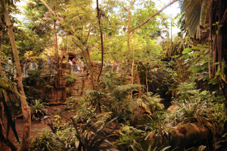 Le Biodôme à Montréal