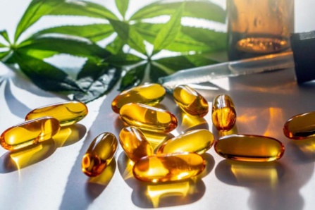 découvrir 6 façons de consommer du cbd découvrir 6 façons de consommer du cbd