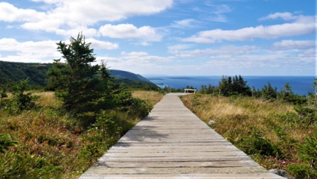 que voir en nouvelle-écosse ? que voir en nouvelle-écosse ?