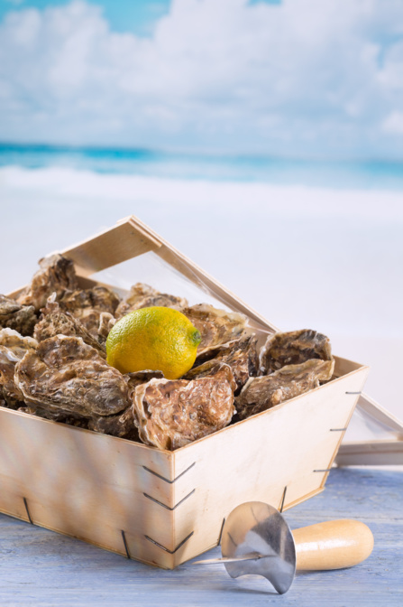 Bourriche d'huitres Marennes Oléron - AOC Label Rouge Bourriche d'huitres Marennes Oléron - AOC Label Rouge