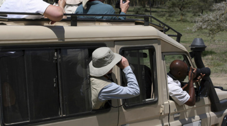 Safari photo en Afrique Safari photo en Afrique