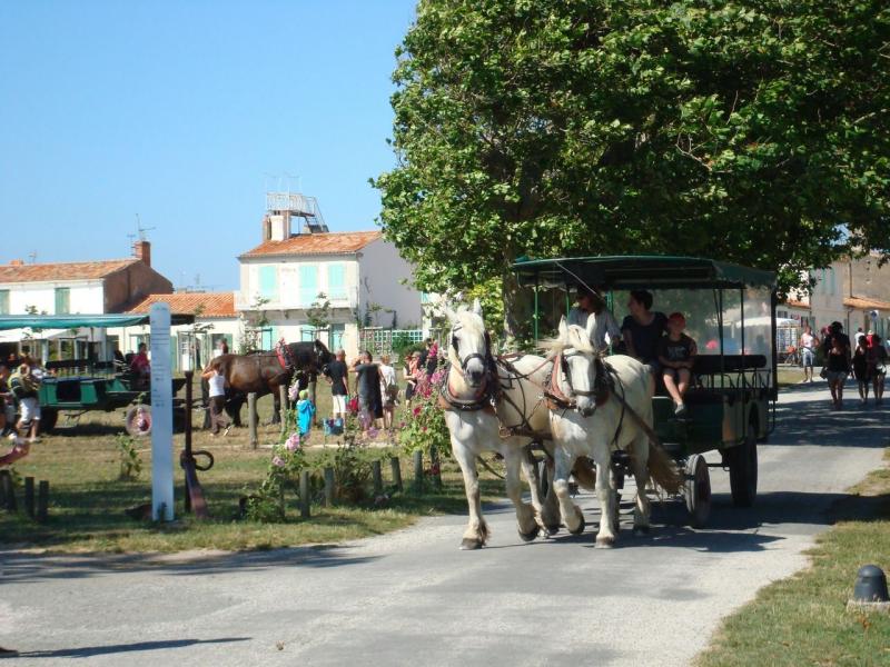 Visitez l'île d'Aix en calèche Visitez l'île d'Aix en calèche