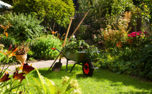 pourquoi élaguer les arbres de votre jardin