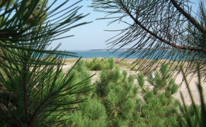 voyage sur l’île d’oléron