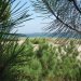 plage-gatseau-ile-oleron